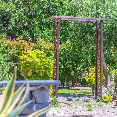 Golden View Apartament *