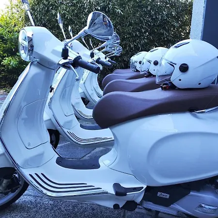 Golden View * Perledo