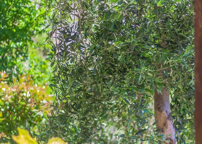 Golden View Lägenhet Perledo