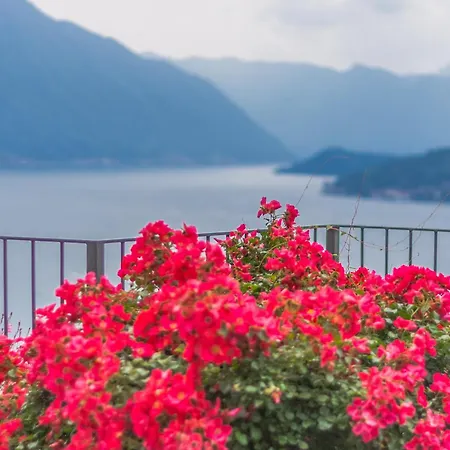 Апартаменты Golden View Перледо