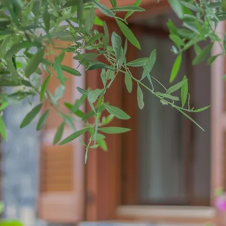 דירה Golden View