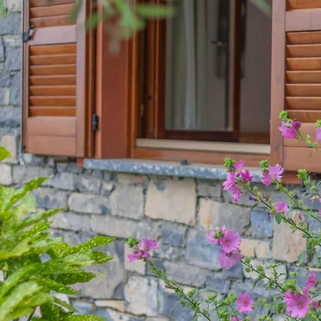 דירה Golden View *