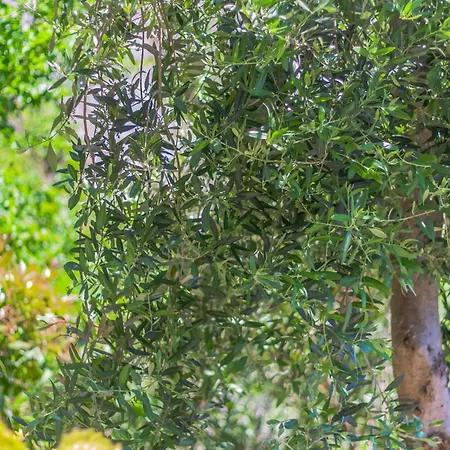 Golden View Апартаменты Перледо