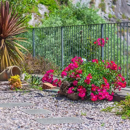 Golden View Перледо