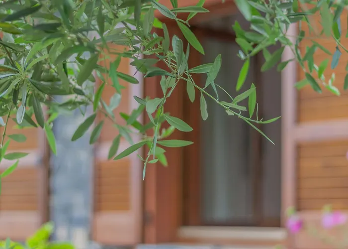 דירה Golden View